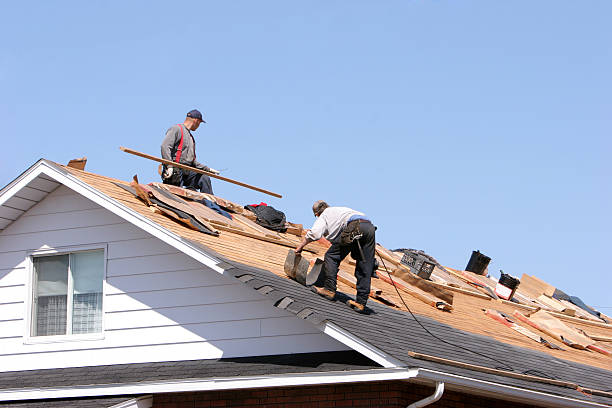 Roof Coating Services in Maple Glen, PA